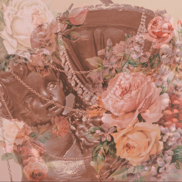 Meet your Posher, Alexis - Picture 1 of 1